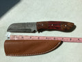 Damascus Steel Knife
